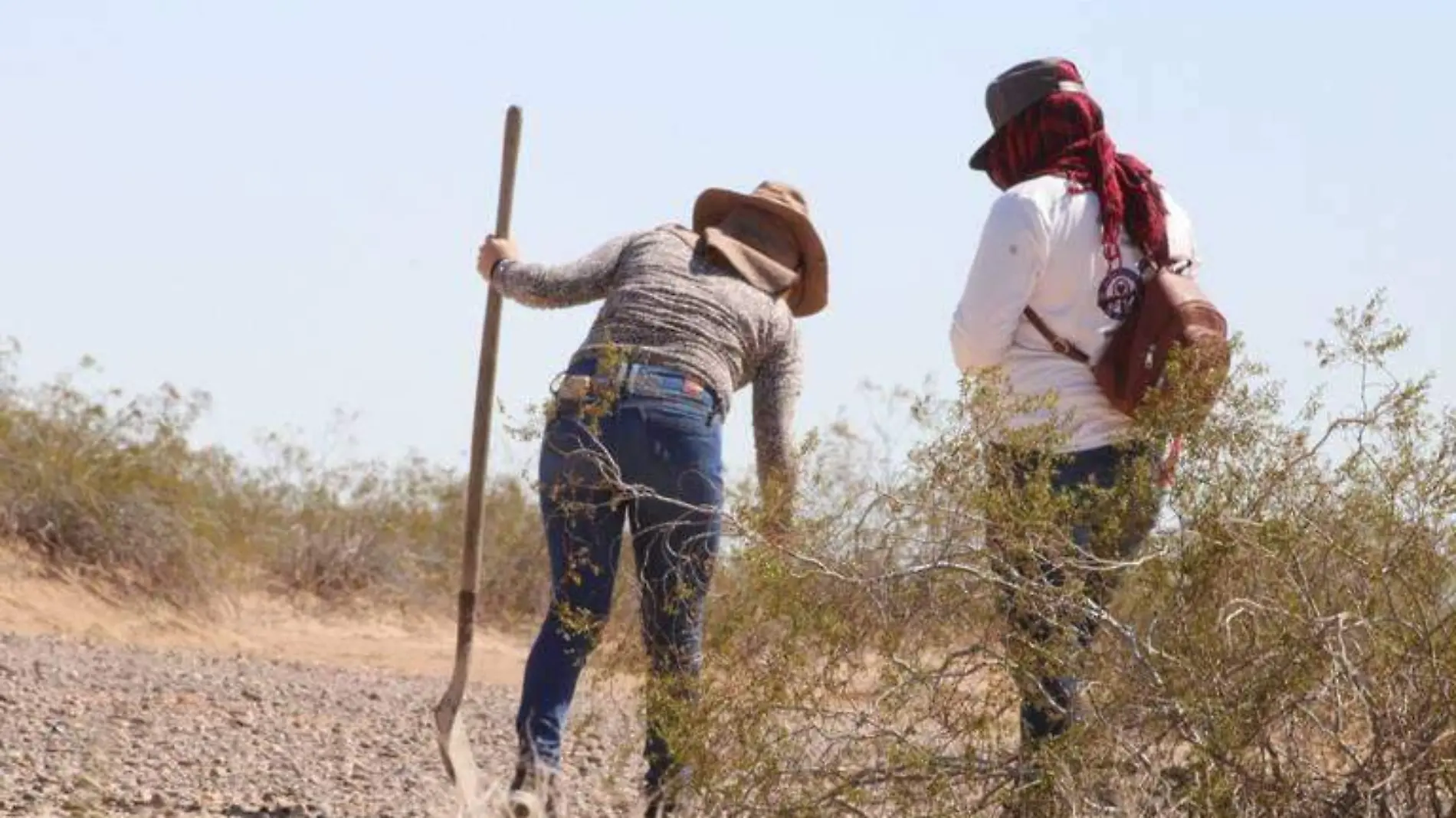 madres buscadoras de san luis